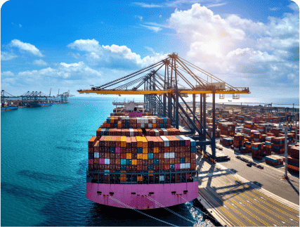 Shipping Services in Lebanon - Middle Link